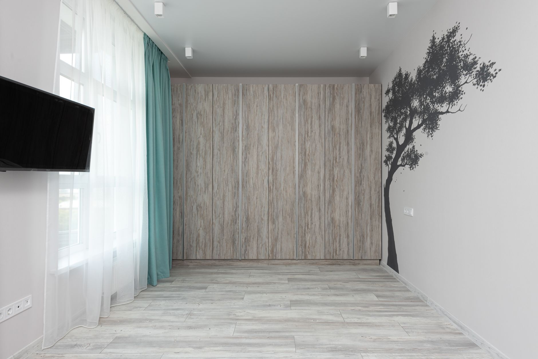 Contemporary empty room interior with television on wall against decorative tree and window with curtains in daylight