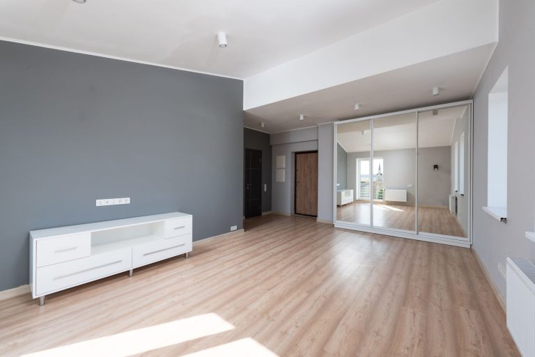 Spacious empty room with wooden flooring and minimalist style furniture